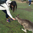 大学のイベントで行った動物園ではカンガルーが放し飼いになっているので餌をあげることができました。