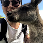 ツアーで行った自然保護区の中にある動物園にて。目の前を走り回る動物たちに触れることもできます。写真のワラビーにご飯をあげたり、タスマニアデビルの赤ちゃんに触ることができたりと、ここでしかできない経験がたくさんできました。